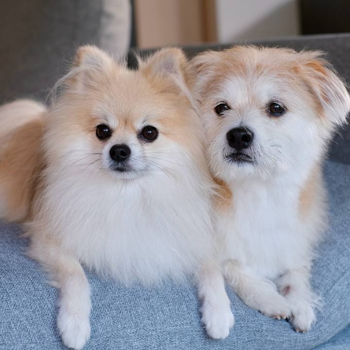 2e5f9bc1 997b 430b 964b e47eb9cd86be 1759441703636