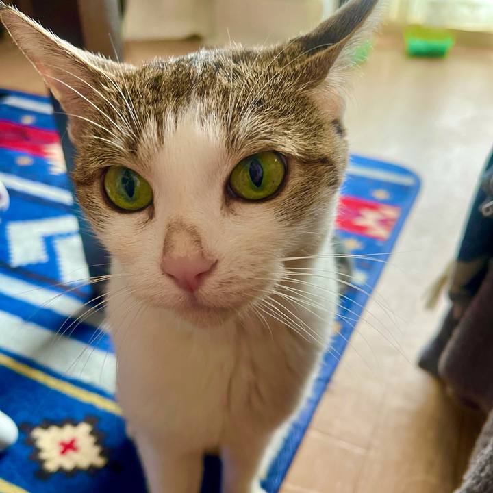 2e5f9e5b dd47 4204 9522 1b1a53c99258 1631408365130