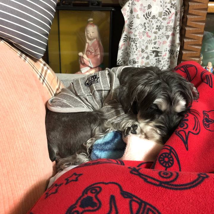 2e5fbeb9 bc4c 42d2 8a59 97dd5d665787 1667132954521