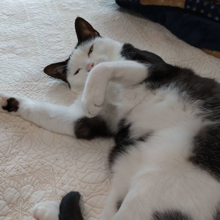 2e5fcdcf 23d4 4b01 8207 f9575a4cb8d8 1600223286740