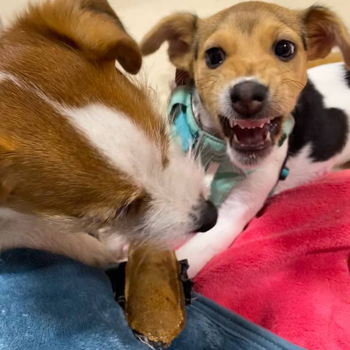 2e5ff87b 4acc 4b90 81c9 d8a049e4d05f 1746019647563