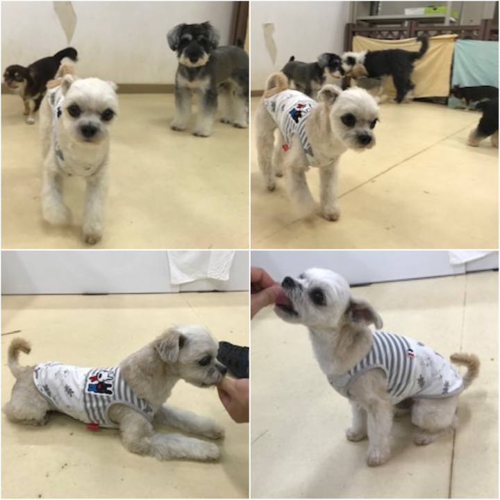 2e60088b 175f 4a36 a773 9f7b08c10544 1570704234842