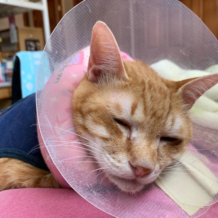 2e60170b b796 4187 8277 26dbe158555f 1620529442685