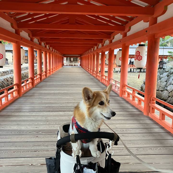 2e6018dc d97b 44b9 9ea7 d8c47c40ec8c 1767926674209