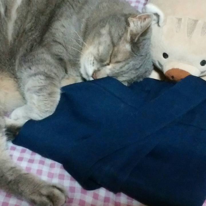 2e60519c 8737 4309 85eb 22cd4bf6c7ac 1593002592478