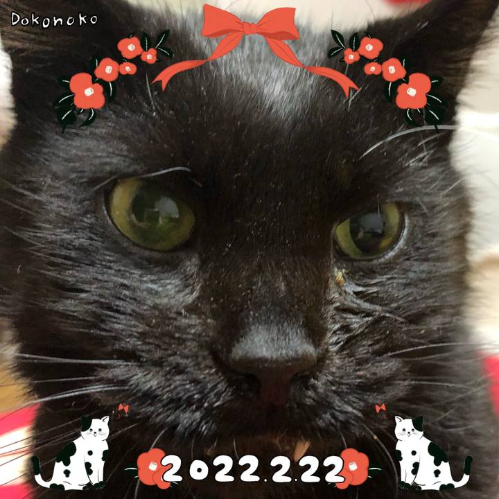 2e605239 8e84 4232 a7a6 4e7d4df11b29 1645523627199