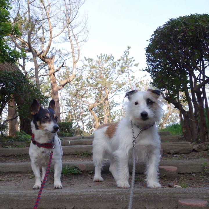 2e609ee3 ac77 485a a468 c1d809d8062f 1555456949216