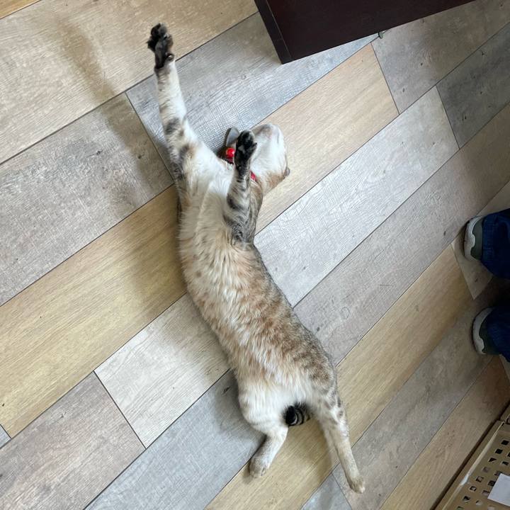 2e60d7f2 30e5 46ad acaa 80355579c648 1747734601821