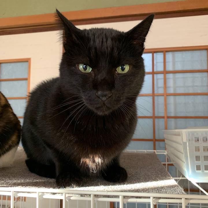 2e60d893 336b 4306 9717 d675682d182f 1544924848894