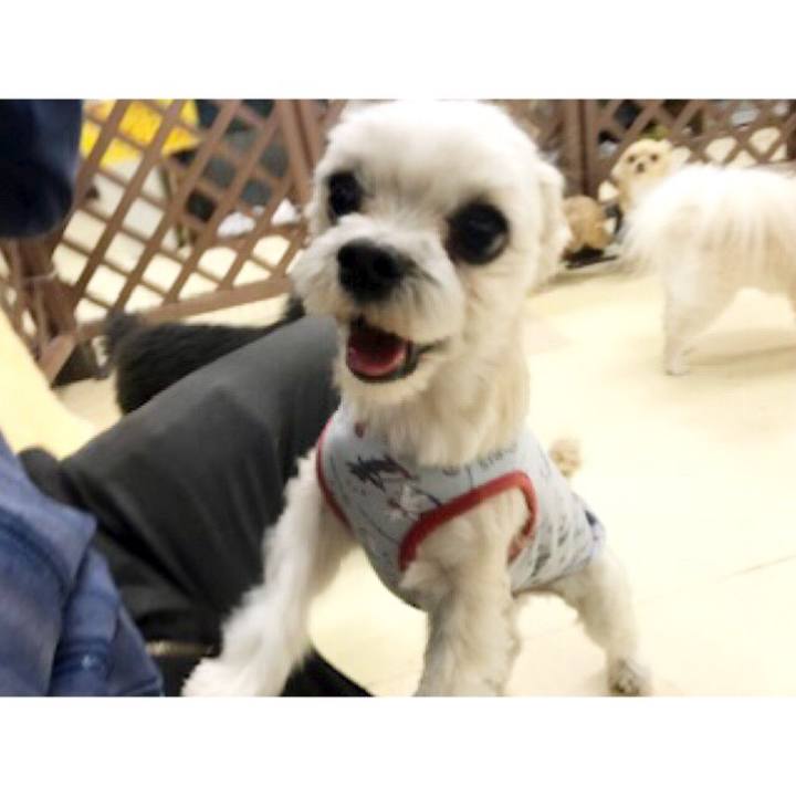 2e611d86 3fcc 490b 9b72 06f29744a724 1547809954377