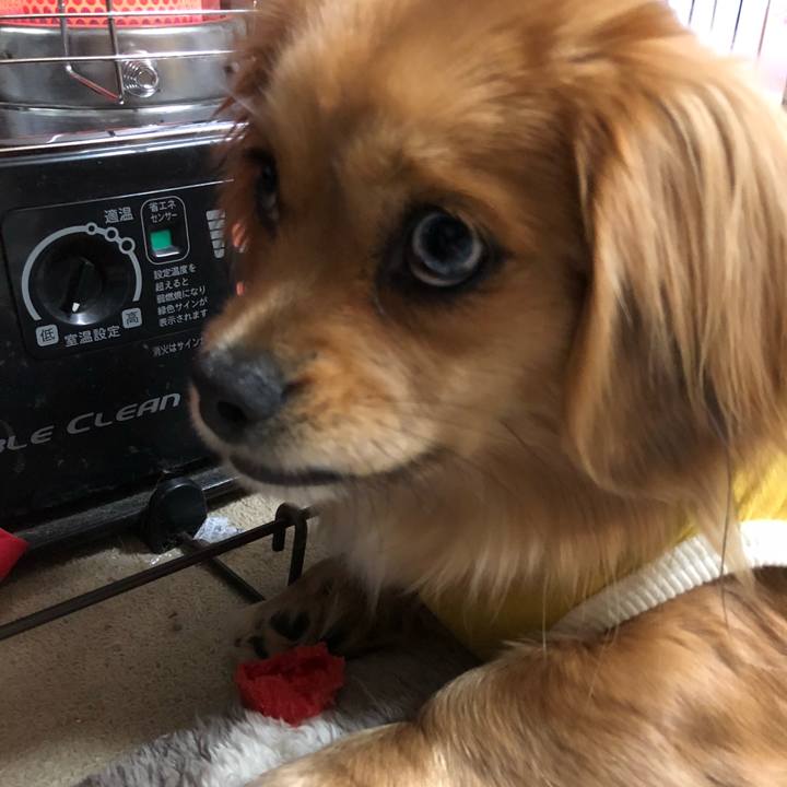 2e612493 da87 477b ba0a 3f9c3615471a 1520200863075