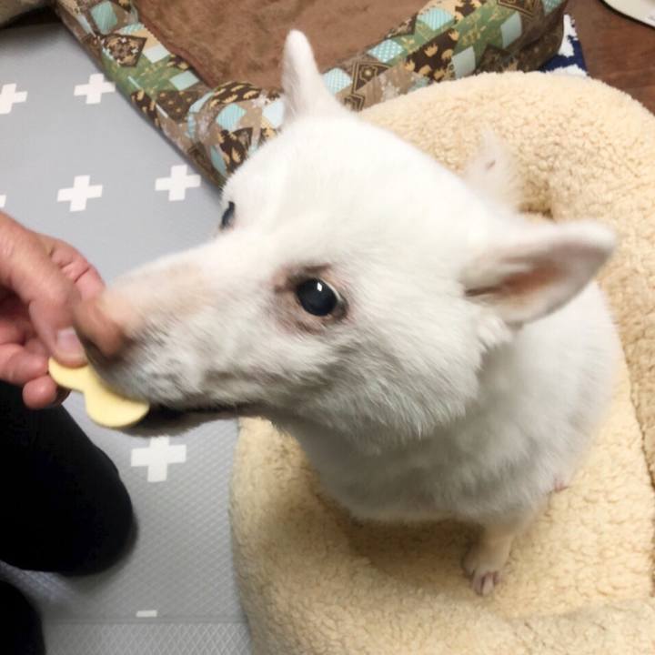 2e61538f aeca 4f8f a8ae a34ebea3e97e 1644841744971