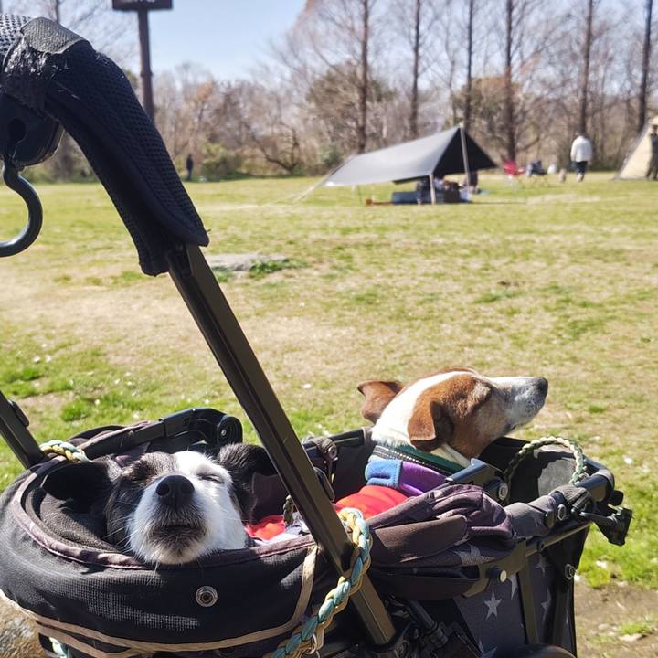 2e61bf47 14a7 4537 9305 c2136bd5da7d 1773573729595