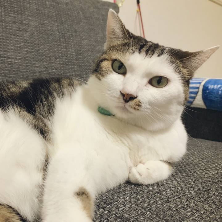 2e61ccd5 71a8 4bdc a884 b8391a7a478e 1536376516870