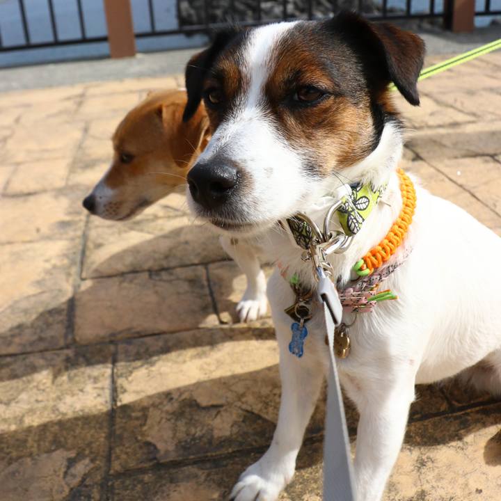 2e61db75 77ef 4628 ba4a 5dd3467995f9 1549774890664