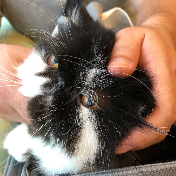 2e61eb51 3120 4cab b956 c78d6b94a257 1570856818526