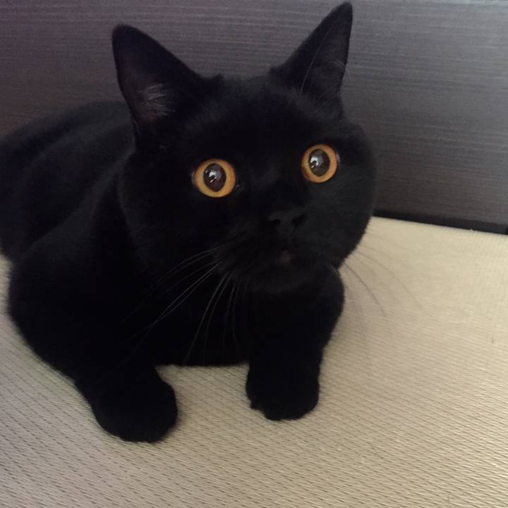 2e61f57f 11be 4f89 a4da 903ba8d26083 1531520065680