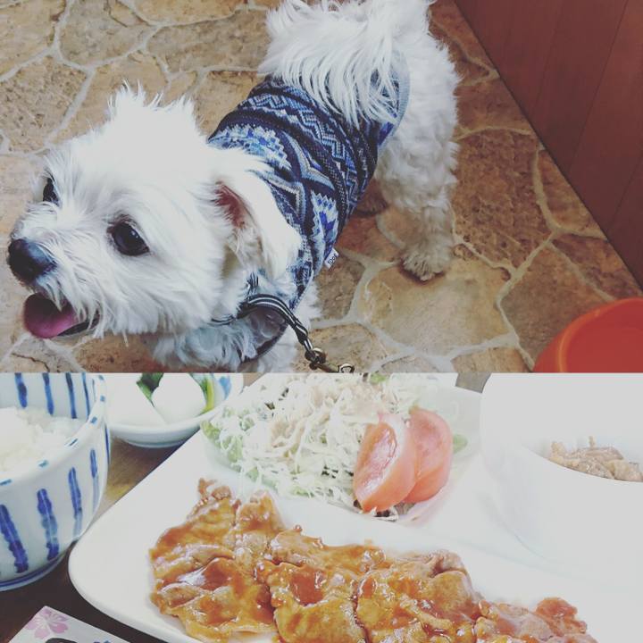 2e621454 767a 4172 b09f 4bc2fe9406cd 1548580033077