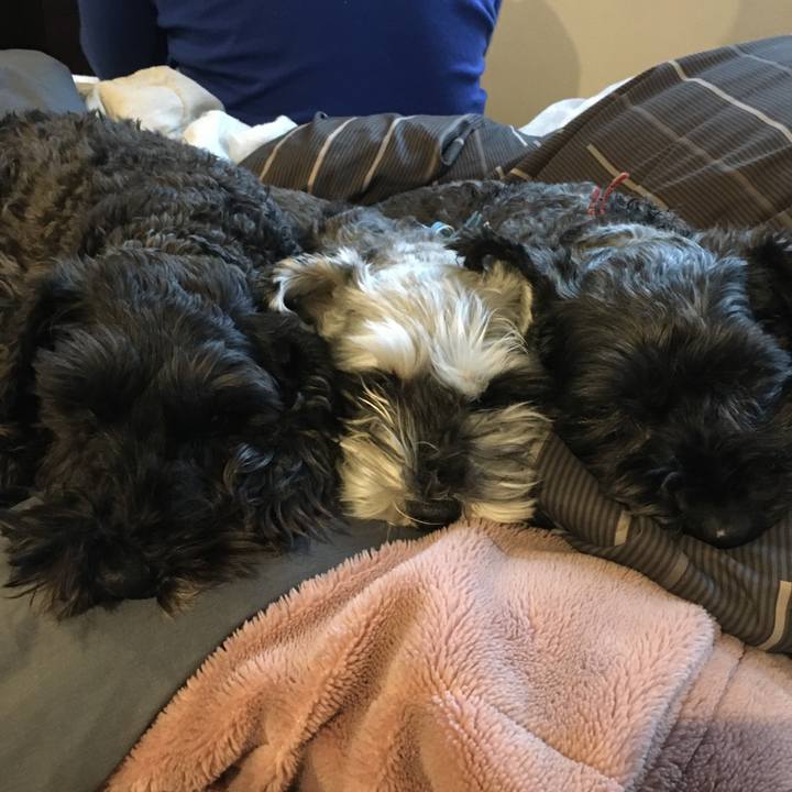 2e621836 7280 4ab4 84cb 4931ad9bb065 1584166399147