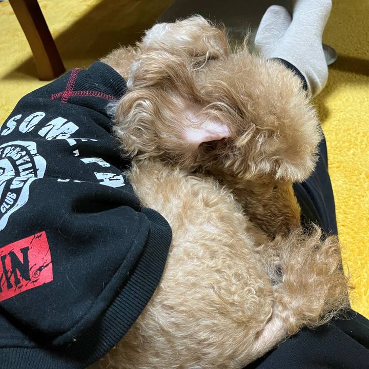 2e62da6c 851a 4d23 b73e 1e750b78160b 1670120590853