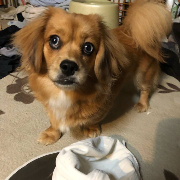 2e62fe48 7c9f 42f5 ac64 f0ea0ae05133 1511818821919