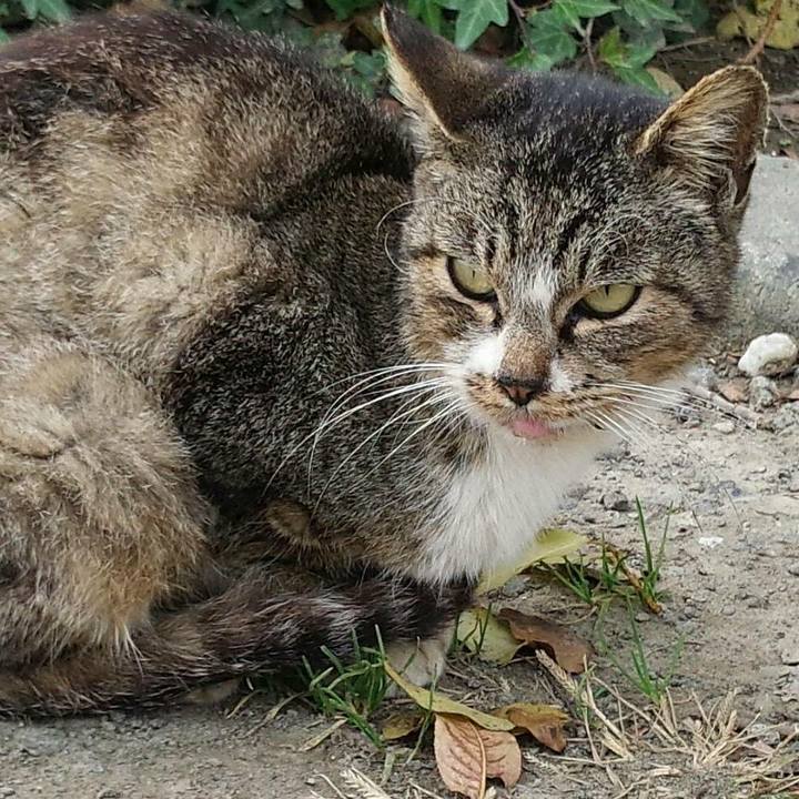 2e635732 c73b 404b 9b82 a91866112084 1510632122886