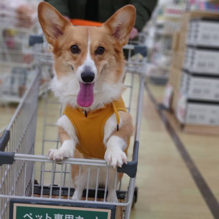 2e6359c4 360d 4a74 8832 ec3bfdc838ac 1771067420878