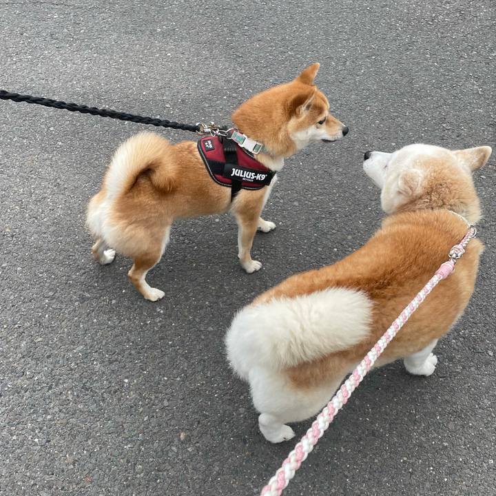 2e636760 7f0a 4668 abf1 84da24fcc0fb 1680513258096