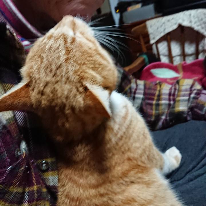 2e636a42 f4cf 4130 8c7c 4a79be6f0fe5 1581195624368