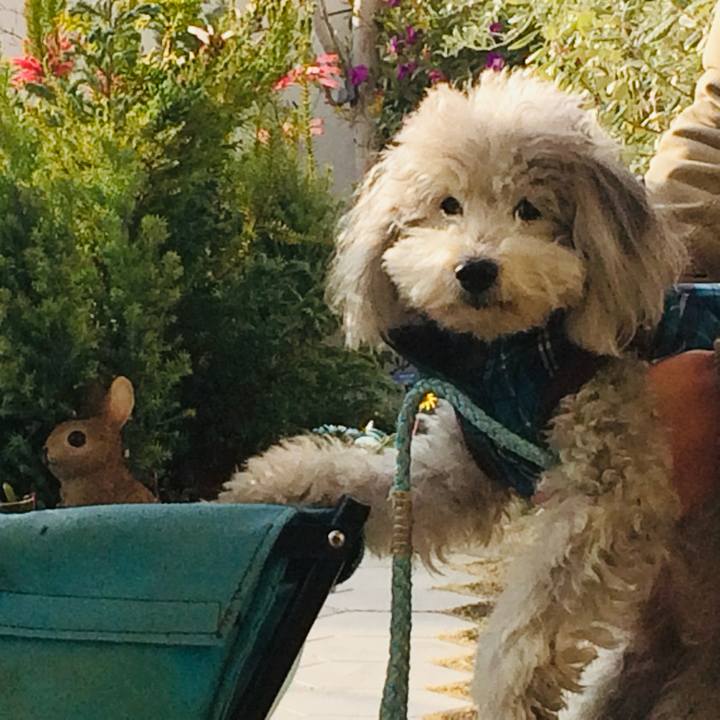 2e6374d7 90a1 4f25 8c7b 9780ce351b20 1727138047723