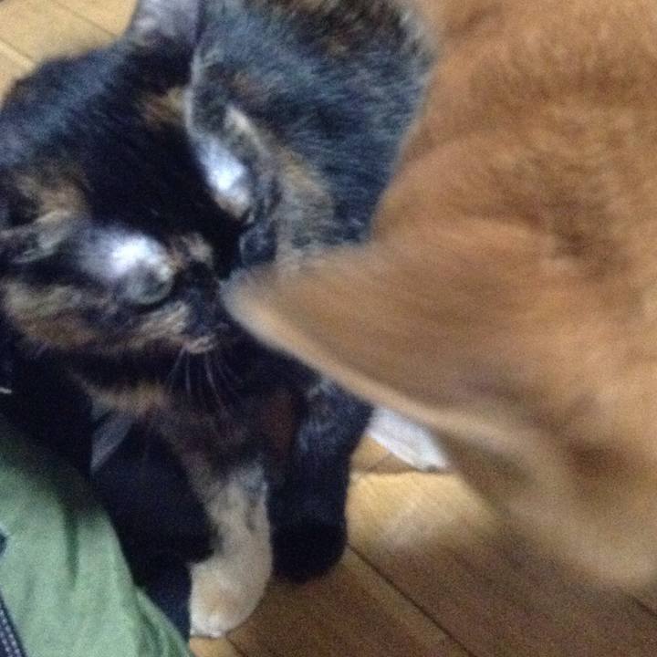 2e63c475 6da0 48a3 82e8 1a7ec1fccd12 1537245398951