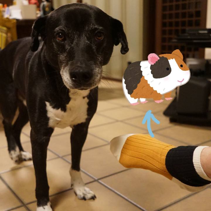 2e63ec1b fe1e 442c 861b debcb95c5a2a 1762946505079