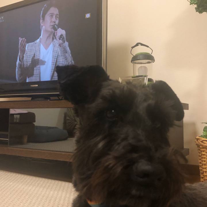 2e641cd7 daff 4637 b628 bbb1df0c3703 1549452494030