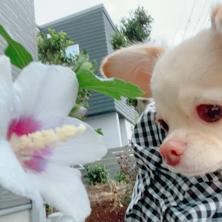 2e6429ab ee2c 4390 9a5d d8d2700cde4f 1630926088783