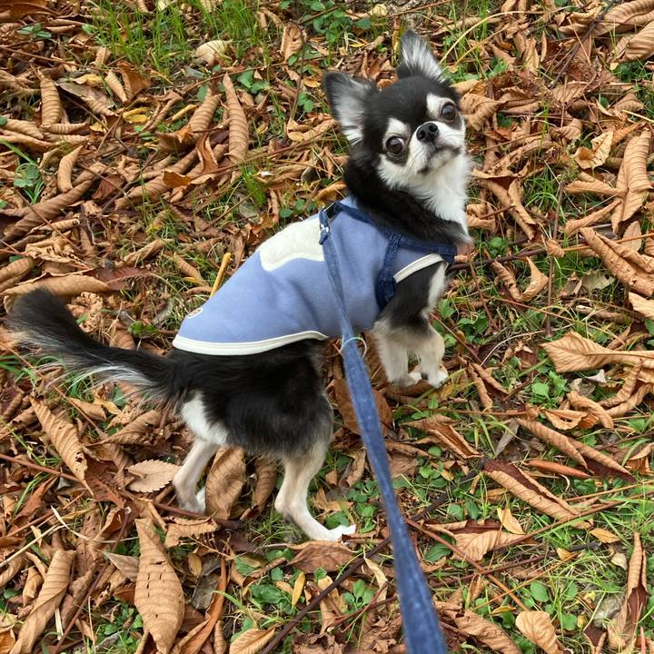 2e642f23 3f77 490b b42d 00c2ddb63342 1670161139299