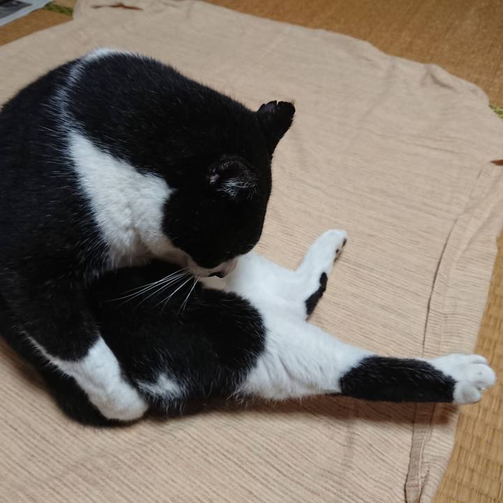 2e645646 4d6b 4374 ac1a 6fbcfa5288d2 1602542902978