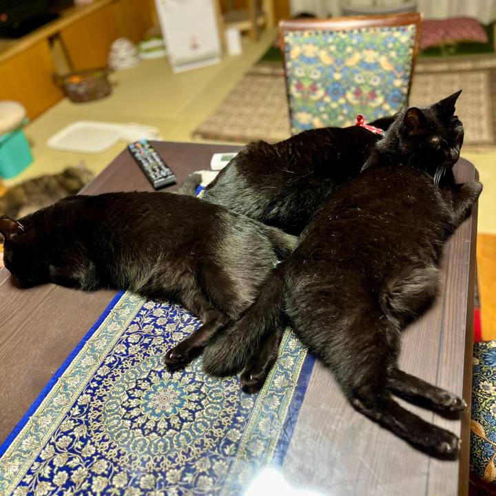 2e646a51 dfb5 4911 b102 2fff196a7a0c 1689602332072