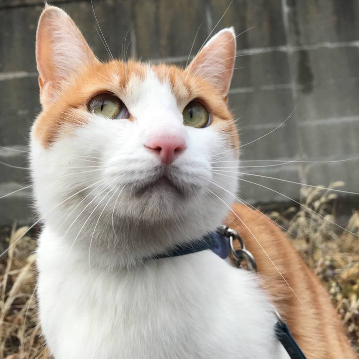 2e648222 e02f 401d b7d9 7368a6af8914 1515560018995