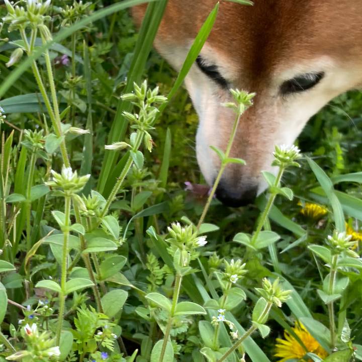 2e64a188 1fc7 443f a28f 77b66ec053e7 1680583587682