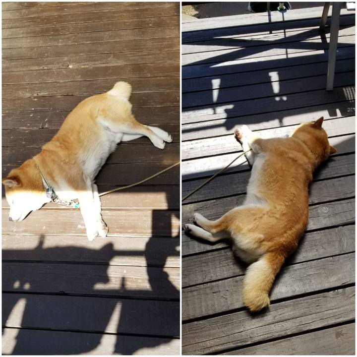 2e64c4ec 41aa 4635 b246 7c21cfcb13e1 1626568933023