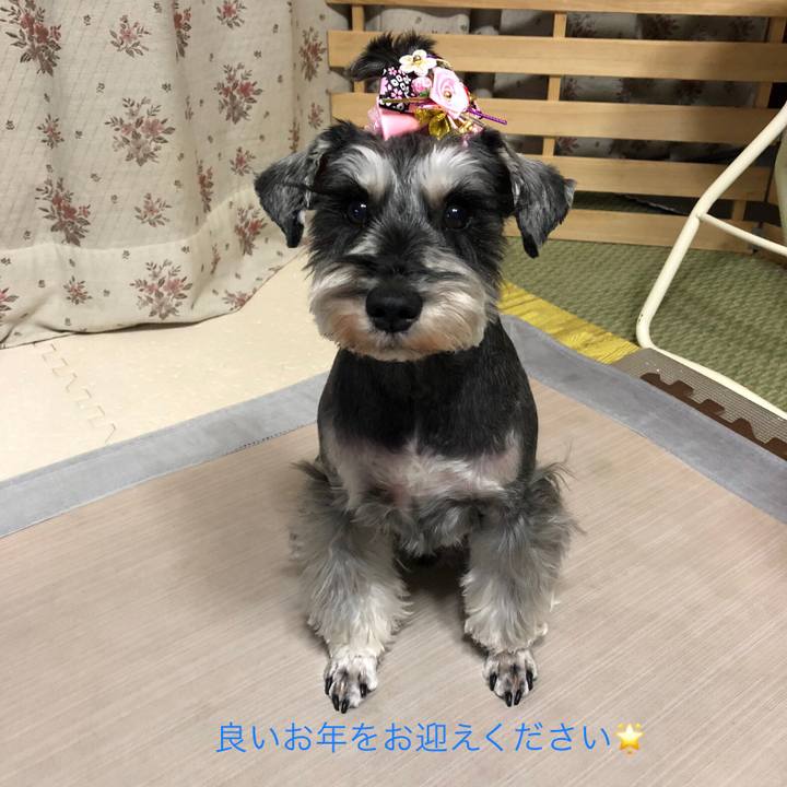 2e650734 4122 46be 8b80 5a1755fa4438 1640945212507