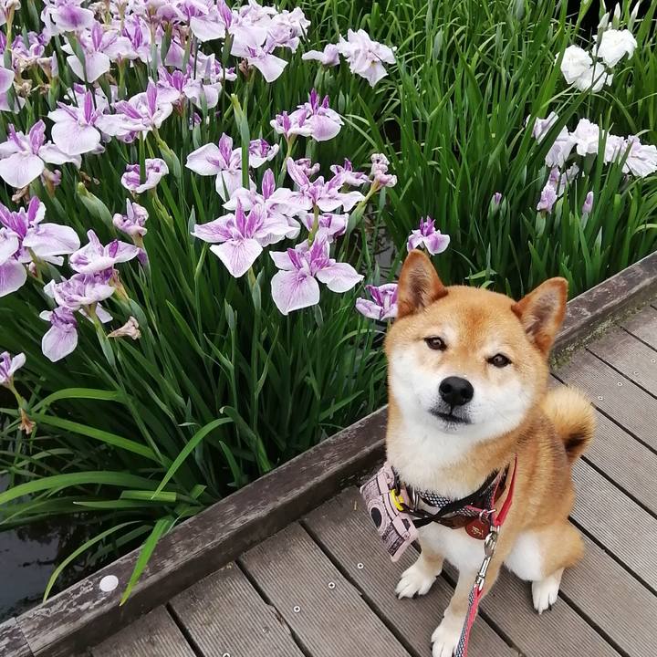 2e650b1b fa83 4613 afea 21613922ea48 1591229203785