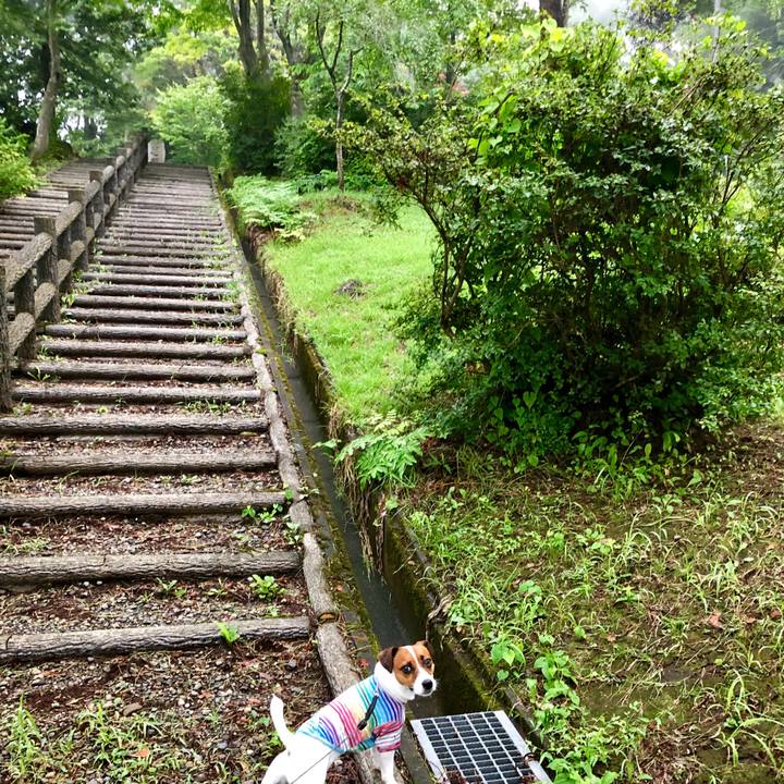 2e6565b1 c4e8 4591 9390 867e352c4b80 1566343835865