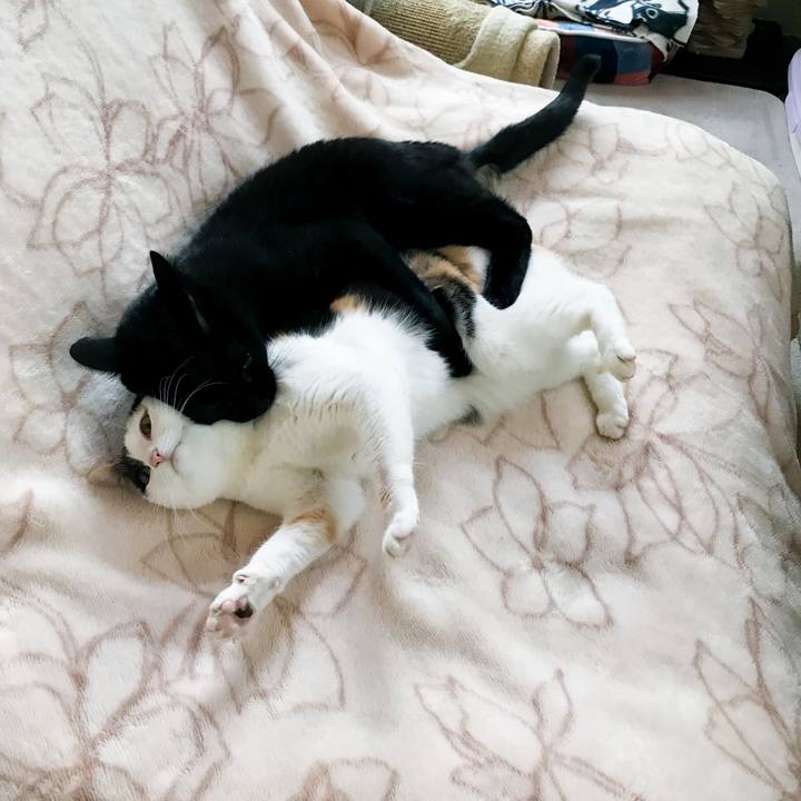 2e6567c9 cdd3 49a6 820f 90da8cdc839e 1519191983365