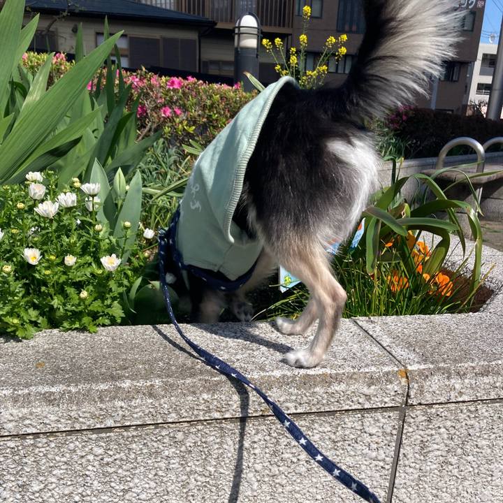 2e656d2a 1c13 4516 afdf 878b10d2b029 1648909085648