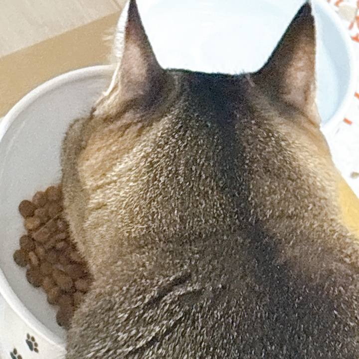 2e6572f7 6f80 4a74 80fb 0dbef54a6e73 1765214479311