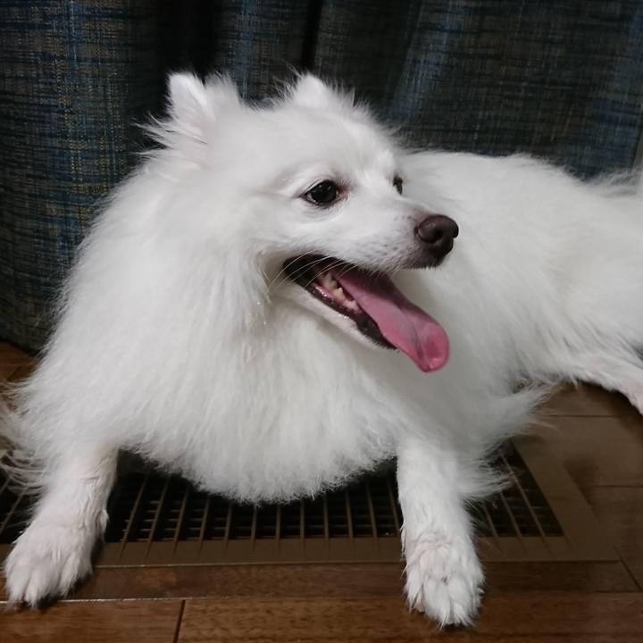 2e65c8f7 fcc0 4ebd b048 e8a2ecacc329 1594462660140