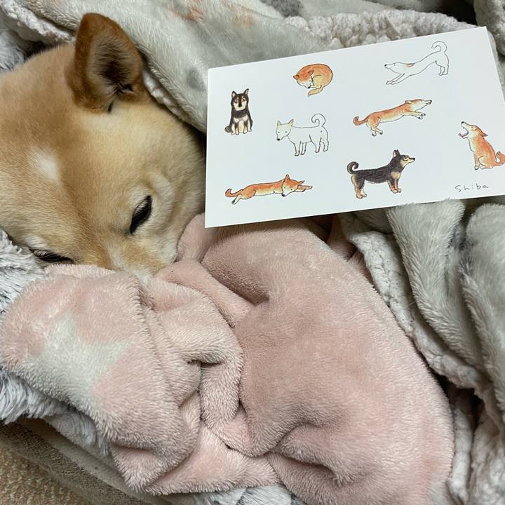 2e65dd3d 5493 4b52 bc62 3b0a585ccf00 1676984707989