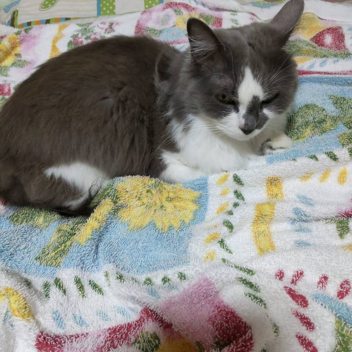 2e65f0b8 8fb2 4400 a539 05b3ad2122ef 1666697236660