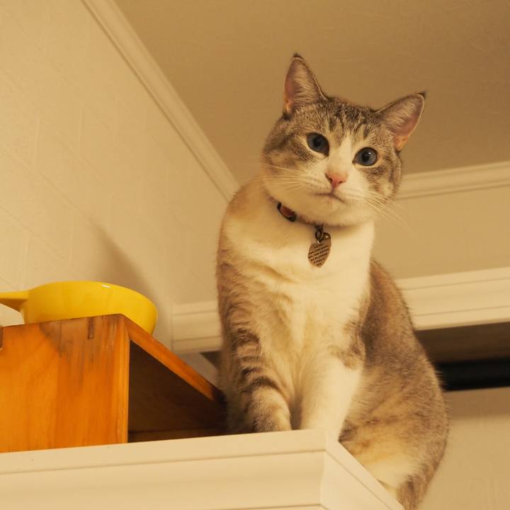 2e65f69f 6b98 41ff aee2 1e66ccdd8163 1598099898779